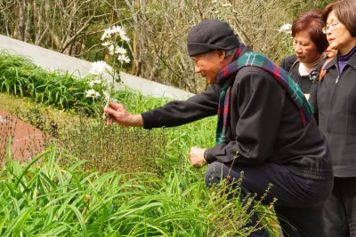 核電具重啟條件　林義雄會發聲嗎？沈富雄斷言這件事