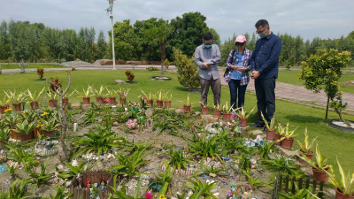 環保葬會影響子孫運勢？不祭拜導致後代不順？禮儀師答案超直接