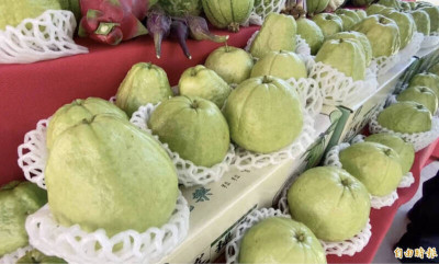 屏東「楊忠憲芭樂」爆紅！ 營養師曝芭樂8好處：抗癌又穩血糖