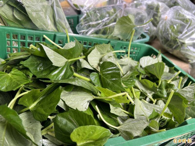 地瓜葉不是水煮最好！ 醫授營養翻倍料理法