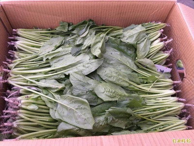 菠菜連莊最髒蔬果 專家揭喫到這個數有風險