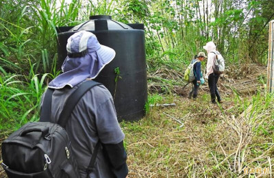 恙蟲&ne;蟲！ 醫破解90％人都搞錯了