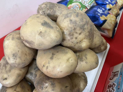 取樣馬鈴薯 9成使用發芽抑制劑 美免疫醫擔憂傷身