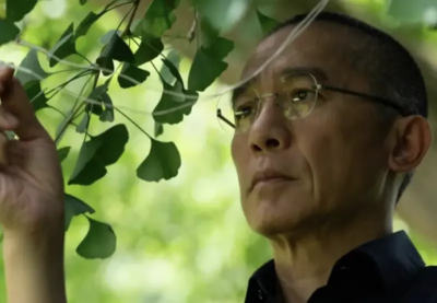 梁朝偉演技迷倒188帥男模恩佐！合作《你是不會當樹嗎》狂獲好評