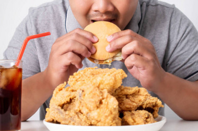 研究：早期攝取垃圾食物 恐長期影響大腦與飲食行為