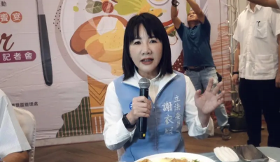 不甩中央安排！謝衣鳯「拒接任副祕書長」硬槓：我還沒放棄