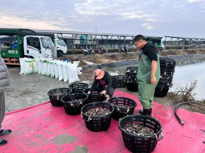 綠電成供應鏈「硬通貨」　三地能源漁電案場攜手協會導入產銷履歷