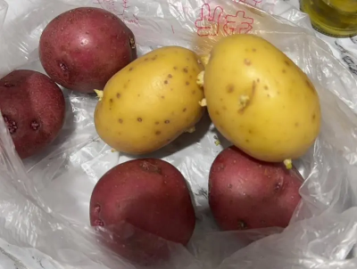 不只發芽馬鈴薯！郭正亮怒揪「這些東西」恐擋不住：真的很可惡