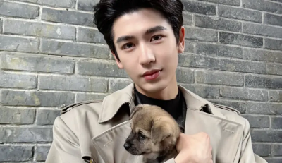 張凌赫有可能成功來台？內行揭3大門檻　難複製胡歌2年前快閃模式