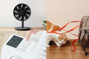酷暑即將來襲　聰明挑選電風扇涼爽一夏