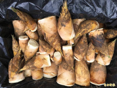 竹筍含膳食纖維可瘦身  營養師揭喫法3大原則1警告