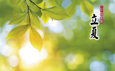 立夏別急著衝效率！ 醫：腸道和神經系統恐先被操壞