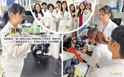 金奈米顆粒注入腸道菌 治療阿茲海默症露曙光