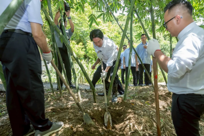 體驗挖竹筍！賴清德主張以農立國：建立農民社會安全制度