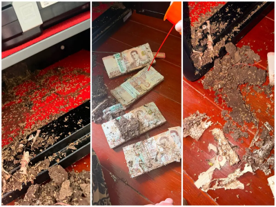 防賊卻防不了白蟻！泰女房貸現金全鎖保險箱　一打開傻眼
