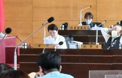 議會遭綠營猛轟、離場遇倒閣追問　盧秀燕「愣一下」反應曝光
