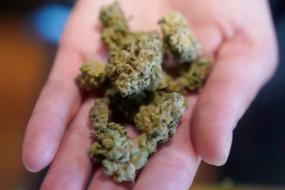 去泰國不能再隨便抽了？「娛樂性大麻」擬全面禁止　新法將上路