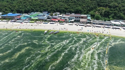 泰國度假島海水突變色！大雨後浮遊生物爆量　遊客驚呼像「綠湯」