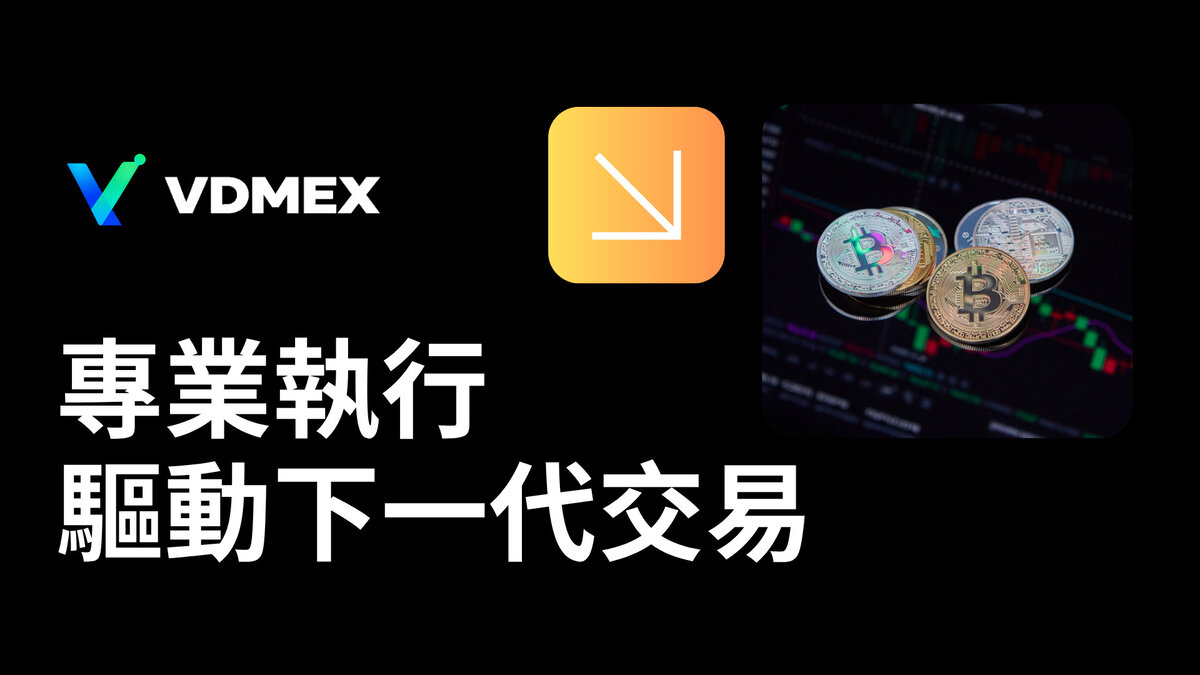從基礎建設走向全球連接&mdash;&mdash;VDMEX交易所的發展路線圖與長期願景