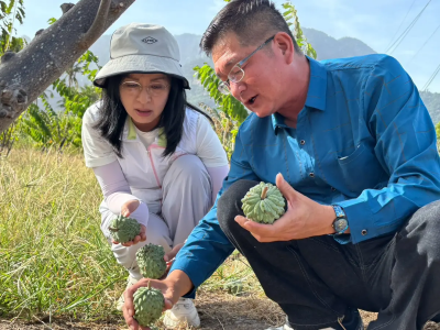 薔琵颱風肆虐　陳瑩赴漁港、果園勘災：要求農業部加速補助作業