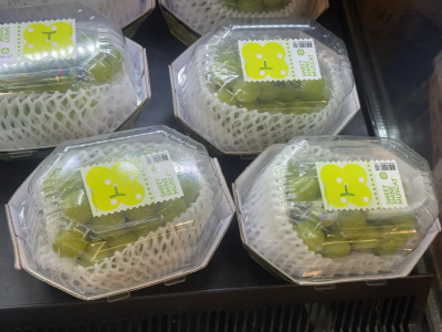 從高價水果變賠錢貨！韓國麝香葡萄價格剩1/3　青年農民為債輕生