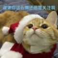 指數增強小霸王