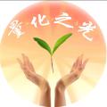 量化之光wyd
